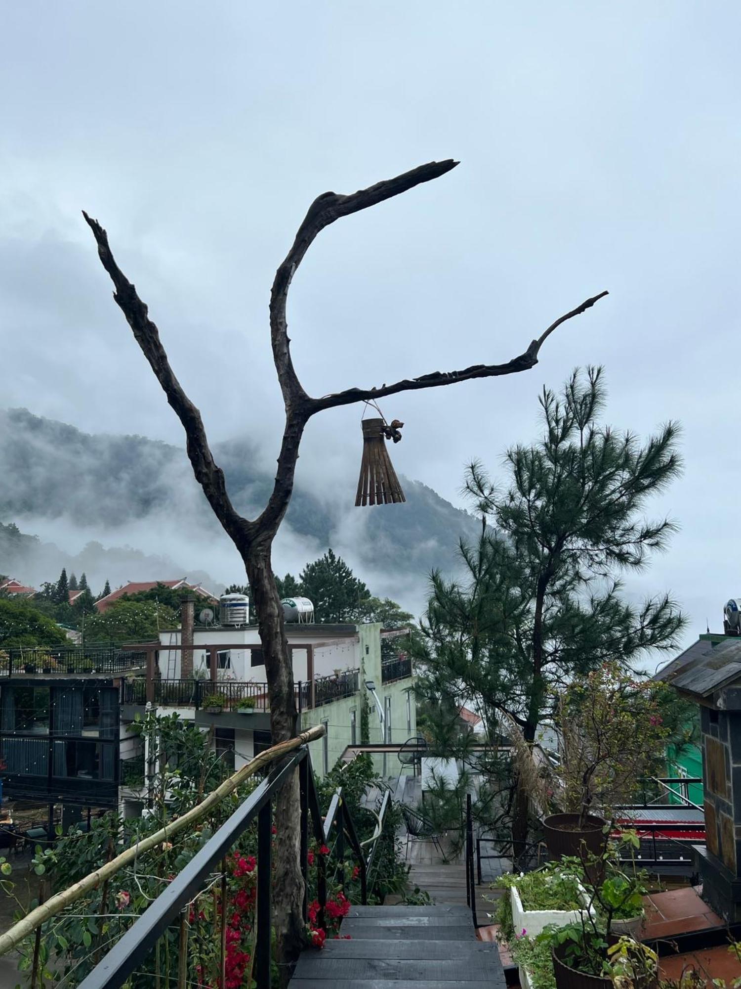 Bach Xanh House. Triangle Bungalow Tam Ðảo 외부 사진